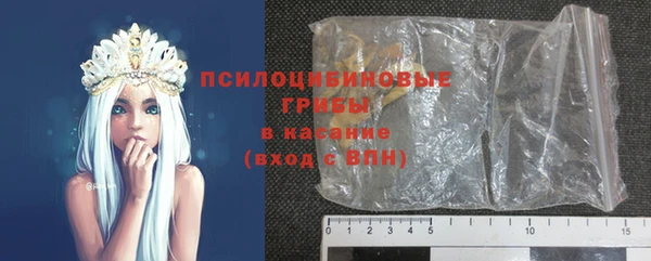герыч Алексин
