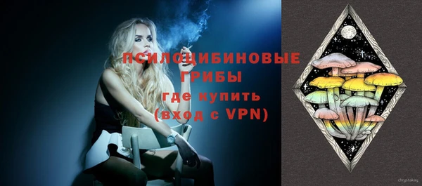 герыч Алексин