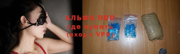 дмт Алзамай