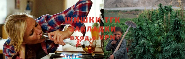 дмт Алзамай