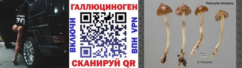 Галлюциногенные грибы GOLDEN TEACHER  MEGA ТОР  Анива  сайты даркнета клад  где продают наркотики 